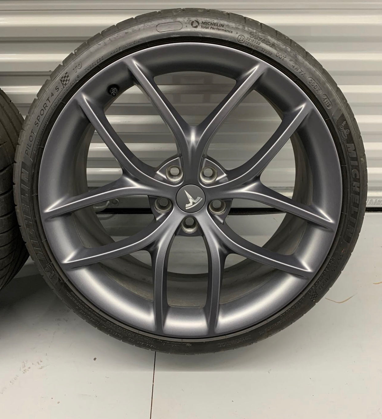Genuine Tesla 20” Zero-G Wheel & Tire Set